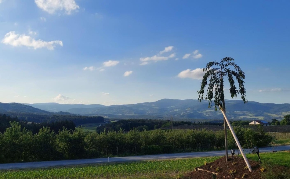 (c) Gutierrez Gutierrrez Aussicht