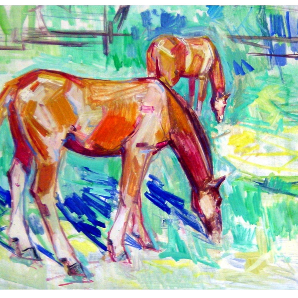 (c) Gemeinde Kaindorf Weißkircher Pferde